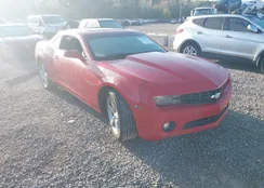 2G1FC1E34C9133356: 43311178