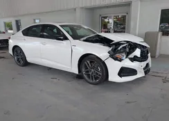 19UUB6F54SA003581: 43310375