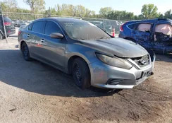 1N4AL3AP5HC206990: 43316273