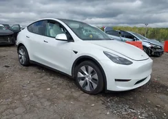 7SAYGAEE8PF755436: 43319510