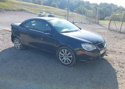 WVWBA71FX7V039001: 43319582