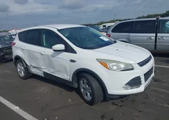 1FMCU9G91DUC87319: 43320457