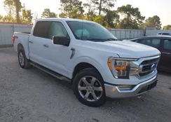 1FTFW1E85MKE79636: 43322532