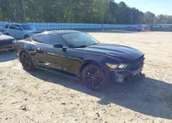 1FA6P8THXF5384179: 43327224