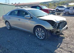 2G61N5S30G9132365: 43329010