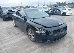 1N4AA5AP9AC830217: 43329128