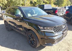 5XYRKDLFXPG240802: 43331433