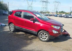 MAJ3S2GE1KC294164: 43331476