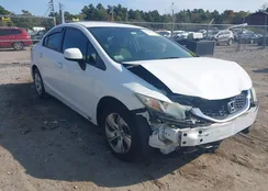 2HGFB2F59DH563571: 43334600