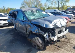 KNDRKDLG0P5216090: 43339009