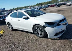 19UUB1F33FA017950: 43338375