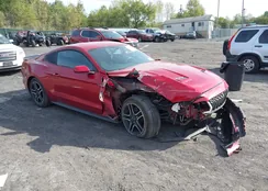 1FA6P8TH6L5190132: 43339930