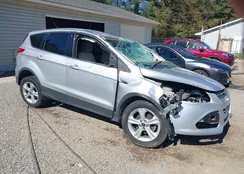 1FMCU0GX7DUD36257: 43340447