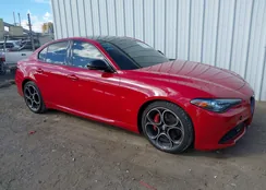 ZARFAMBN0N7663855: 43342016