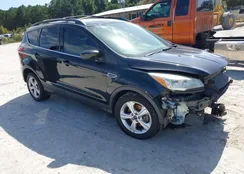 1FMCU9GX9FUB67401: 43343953