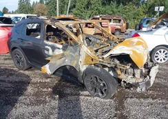 JF2GPAVC8E8225991: 43344663