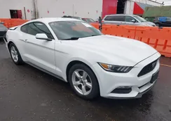 1FA6P8AM3H5229217: 43345472