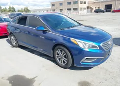 5NPE24AF4GH393055: 43346649