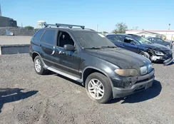 5UXFA13525LU48555: 43349680