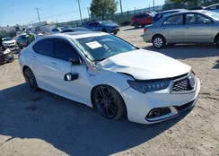 19UUB3F66KA003444: 43349919