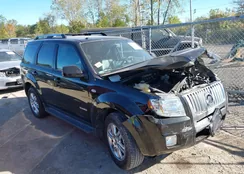 4M2CU87188KJ20203: 43352038