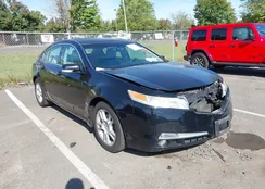 19UUA8F25AA025219: 43351429