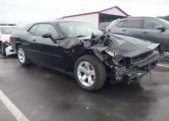 2B3CJ4DV6AH195141: 43351591