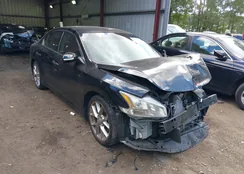 1N4AA5AP6AC867919: 43352995