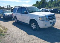 1FMJU1J57BEF53707: 43353053