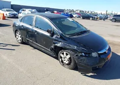 2HGFA1F57BH530773: 43355093