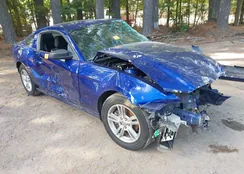 1ZVBP8AM2D5258885: 43360224