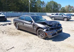 2C3CDXAT2PH513408: 43361070