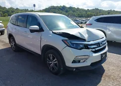 5FNYF6H71JB031282: 43361124