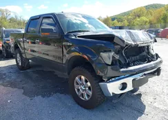 1FTFW1EF9EFA10297: 43360409