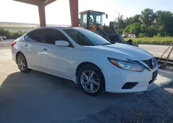 1N4AL3AP6HC261187: 43360427