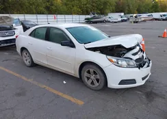 1G11B5SA1DF177816: 43361449