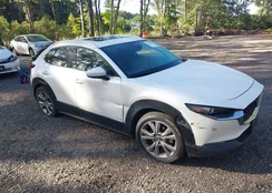 3MVDMBDM6PM563039: 43361619