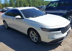 1HGCY1F20RA065198: 43362781