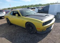 2C3CDZFJ4MH604999: 43363579