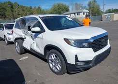 5FNYF8H50RB017606: 43365249