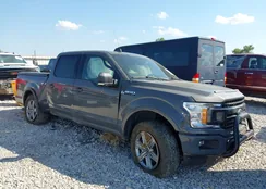 1FTEW1E59JFD69873: 43370729