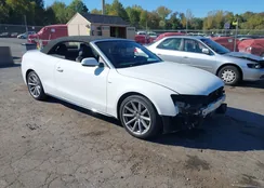 WAUD2AFHXHN003675: 43371389