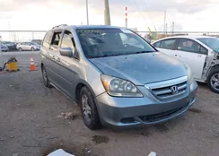 5FNRL38437B039846: 43373253