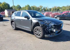 JM3KFBCL9S0543334: 43375969