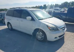 5FNRL38677B435716: 43376334