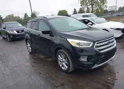 1FMCU9GDXHUB39583: 43378028