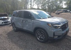 5FNYF7H59NB000680: 43380191