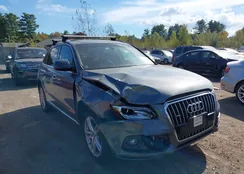 WA1L2AFP6GA066133: 43380478