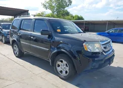 5FNYF38239B004504: 43382186