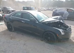 1G6AA5RX1D0173209: 43381565